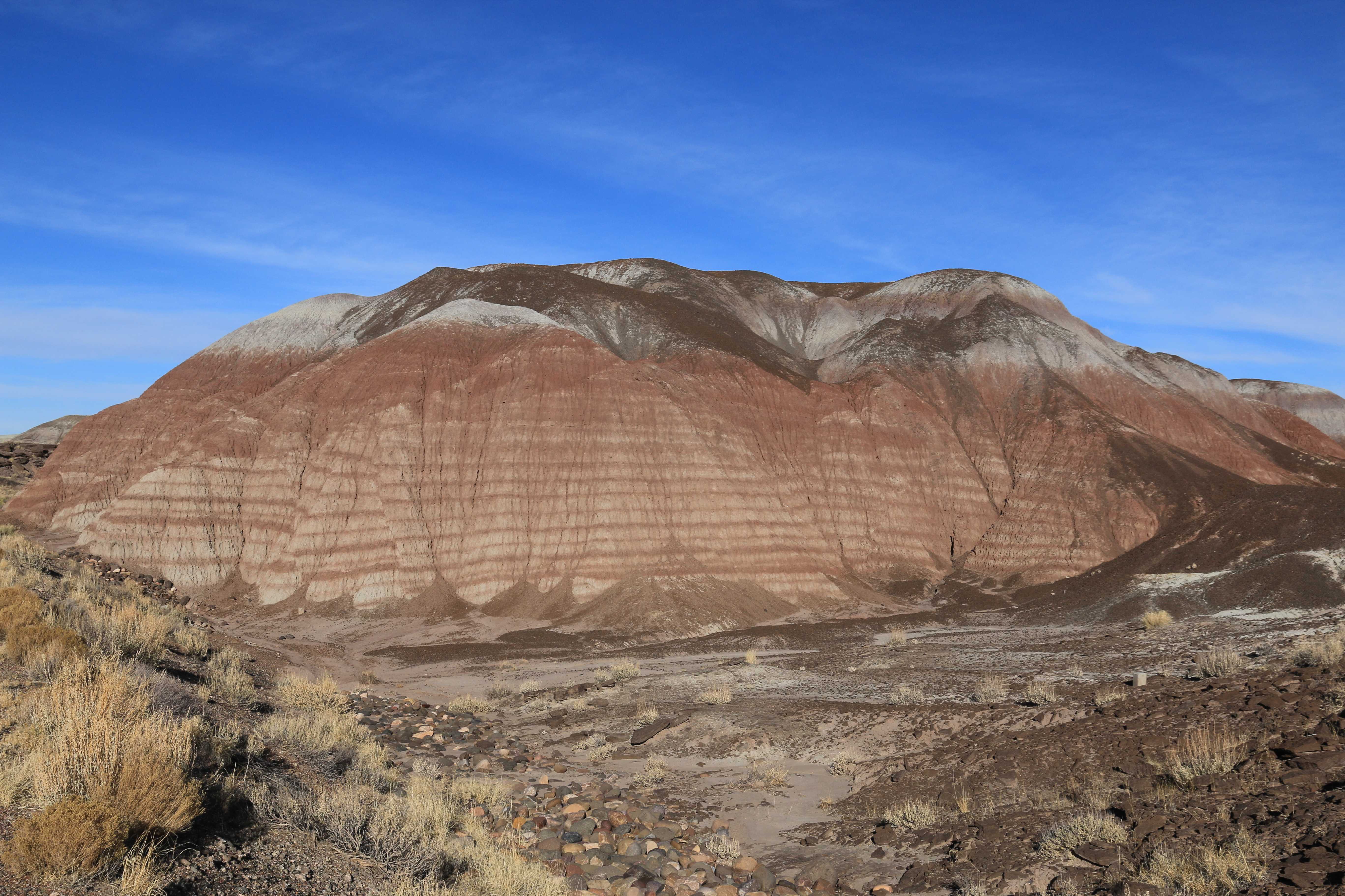 Petrified Forest NP